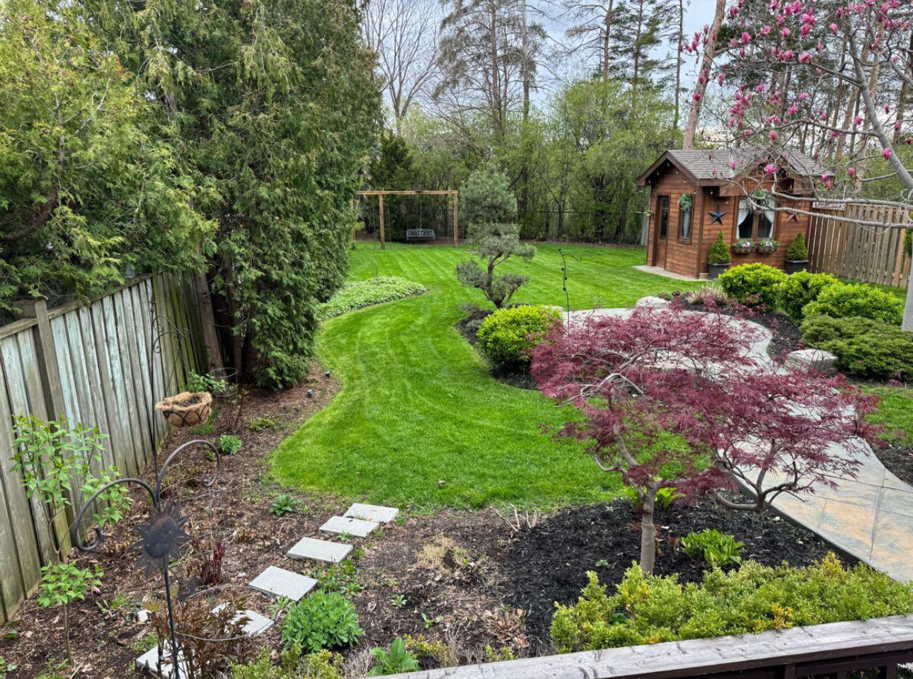 Beautifully maintained Vaughan backyard with manicured lawn and landscaping by Sonoma Yardworks