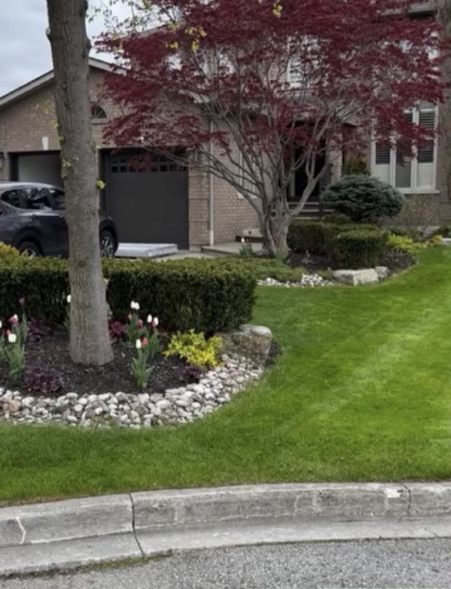 Well-maintained Vaughan front yard with manicured lawn, garden beds, and stone edging by Sonoma Yardworks
